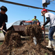 People clean up a farmland that was flooded by the storm.